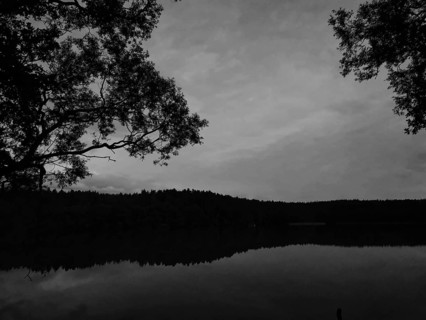 Quiet evening on a Masurian lake with trees in the background, monochrome, Olsztyn, Masuria, Poland