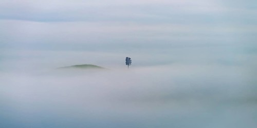 Landscape at sunrise around Volterra, Pisa province, Tuscany, Italy