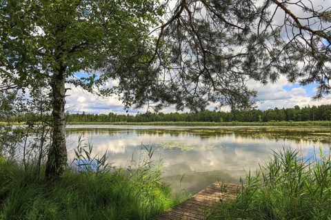Large Riedsee with trees and clouds that are reflected in the water. Green surroundings and