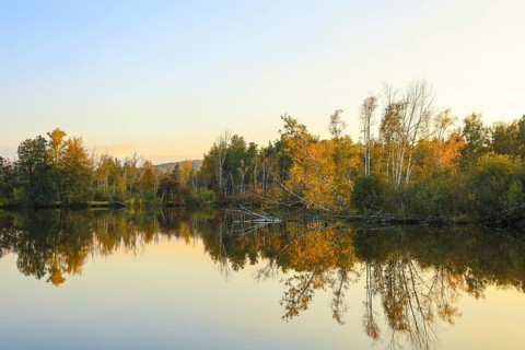 Calm lake with autumn trees and reflections in golden light, Pfrunger-Burgweiler Ried, Nillsee,
