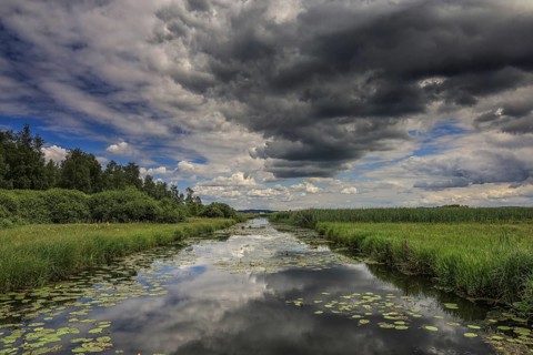 A river with water lilies and grasses, above a dramatic sky with dark clouds, Federsee lake Canal,