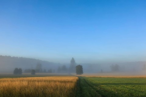 Misty landscape with meadows and trees under a clear blue sky. Peaceful atmosphere in the morning,