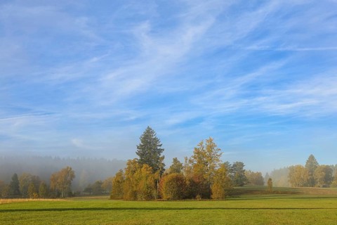 Autumn landscape with hazy sky and meadows in the foreground, surrounded by trees, Upper Danube