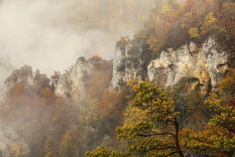 Jurassic limestone cliffs with autumnal trees and clouds of fog, Upper Danube nature park Park,