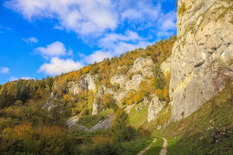 Colourful autumn landscape with rocks and forest under blue sky, a trail runs at the foot of the