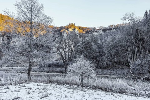 Snowy landscape with trees, the Danube and Jurassic limestone cliffs in the morning sun, Upper