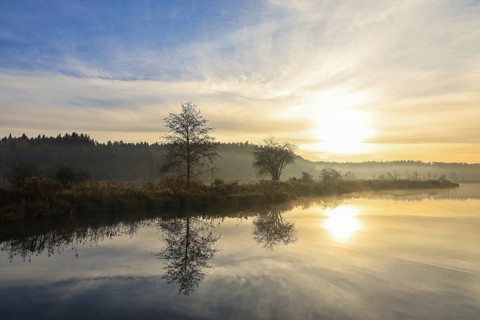 Landscape with lake at sunrise, trees reflected in water, peace and peaceful atmosphere,