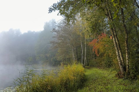 Foggy lakeside landscape in autumn with colorful foliage and calm lake,