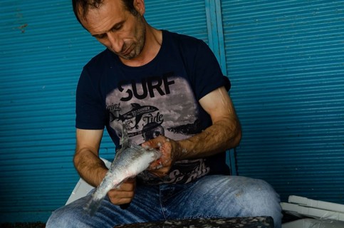 Trabzon, Turkey. 8th September 2014 A Turkish fisherman cleaning fish in the fish market of the