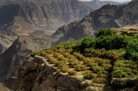 The green mountains called Jebel Akhdar of the Hajar mountain range, the harsh interior of Oman,