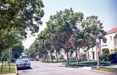 1972 Chevrolet Impala car on suburban tree-lined street of housing, California, USA 1976