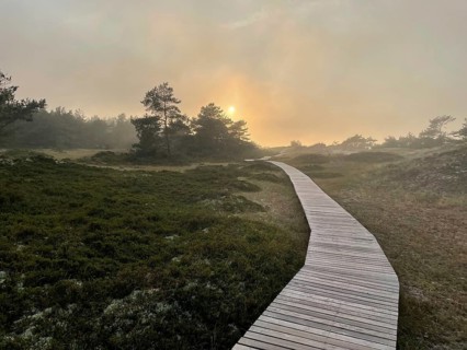 Sunset, fog. Landscape with hiking trails through the Western Pomerania Lagoon Area National Park.