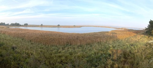 Lagoon landscape, Western Pomerania Lagoon Area National Park, Darss-Zingster Boddenkette, Baltic