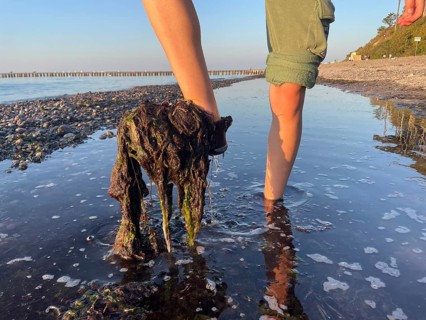 Baltic Sea, seaweed on the beach, environment, algae plague, over-fertilization, Nienhagen, Rostock