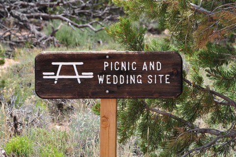 Picnic and wedding spot sign between trees, Grand Canyon National Park, Arizona, USA
