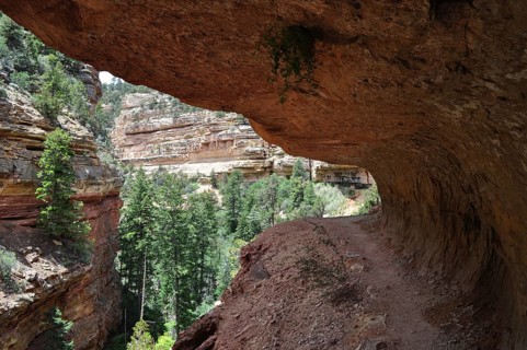 Hiking trail under an overhang with views of green trees and rock walls, Grand Canyon National
