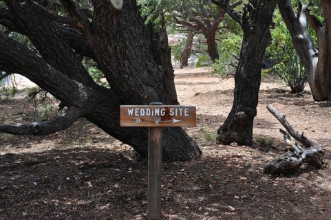 Wooden sign points the way to a wedding venue in a wooded area, Grand Canyon National Park,