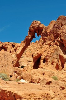 Close-up of the elephant bow, a remarkable rock formation in the desert, Valley of Fire State Park,
