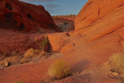 Red rocks with sparse vegetation illuminated by warm evening sun, Valley of Fire State Park,