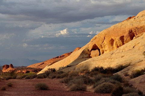 Landscape with yellow and red rocks and sparse vegetation in evening light, Valley of Fire State