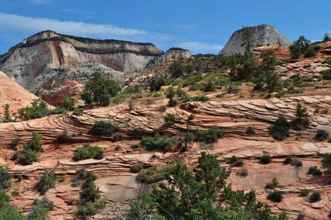 Ribbed rock structures with vegetation under a clear sky in a mountainous landscape, Zion National