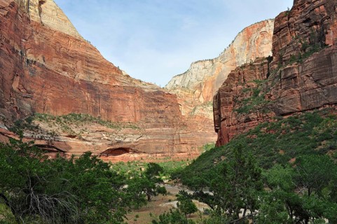 Deep valley view with red rock walls and green vegetation in the foreground, Zion National Park,