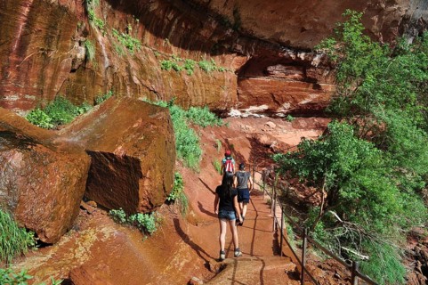 People hike along a trail that leads through red cliffs and lush vegetation, Zion National Park,