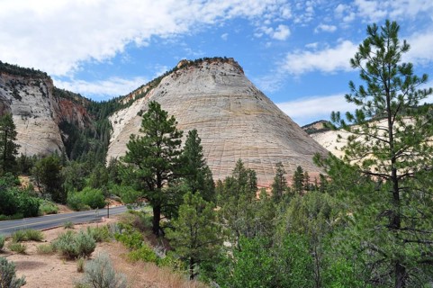 Characteristic hills and geological formations next to a tree-lined road, Zion National Park, Utah,