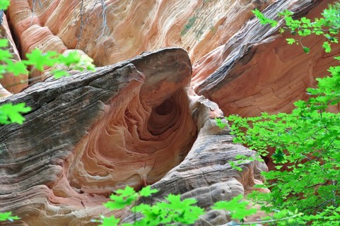 Fascinating rock formation with red sandstone surrounded by green leaves, Zion National Park, Utah,