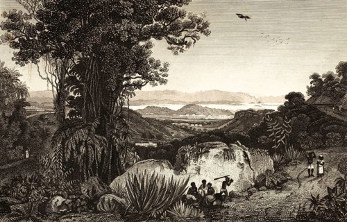 Rio de Janeiro, Brazil, bay, mountains, forest, lianas, nature, agaves, birds, locals,
