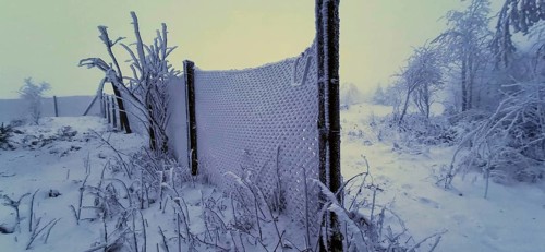 Snowy fence surrounded by a foggy winter landscape, winter, hiking in the Thuringian Forest nature