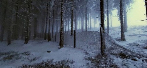 A wire fence separates the frosty forest in winter darkness, winter, hiking in the Thuringian