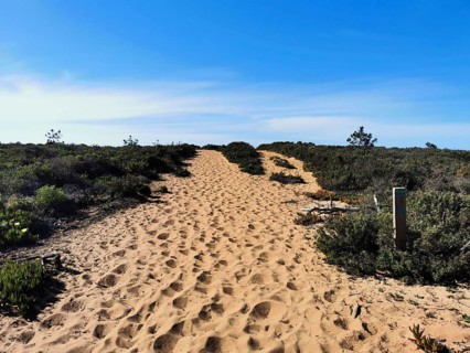 Sandy trail through thick vegetation with clear sky in the background, quiet atmosphere, hiking on