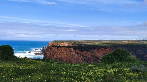 Red cliffs overlook the raging ocean with green vegetation and blooming flowers in the foreground,