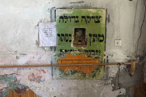 Sacrifice in a wall, Hasidic Synagogue, also Jacob Gansel Schul, is being restored, Lemberg,