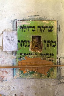 Sacrifice in a wall, Hasidic Synagogue, also Jacob Gansel Schul, is being restored, Lemberg,