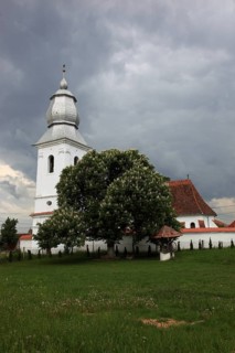 The Reformed Church in Lisznyo, Lisnau, with a blossoming chestnut tree in front, a historic