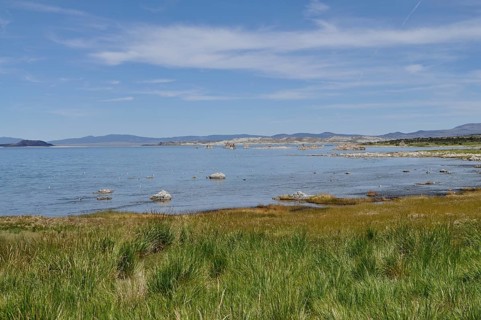A tranquil shoreline with grassy areas and a blue lake under a clear sky, Lake Natron, Mono Lake,