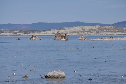 A still lake, Lake Natron, with rocks, limestone formations, and birds, Mono Lake, California, USA