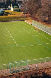 Football field surrounded by fences, lawn and trees in the background, Wimberg, Calw, Germany