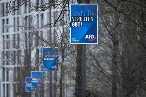 Numerous AfD election posters hang one behind the other on several lamp posts in the northwest of