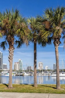 Saint Petersburg Florida promenade on Tampa Bay with palm trees in Downtown St Petersburg, USA