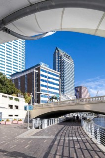 Tampa Riverwalk Promenade on the Hillsborough River Skyline with skyscrapers downtown in Tampa, USA