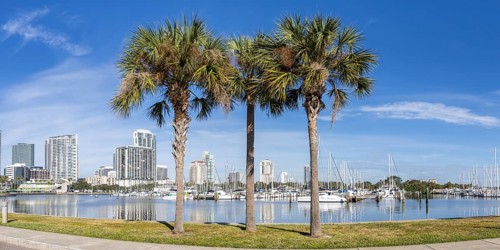 Saint Petersburg Florida Promenade on Tampa Bay Panorama with Palm Trees in Downtown St Petersburg,
