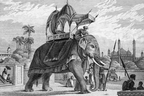 Equipped, decorated elephant with stretcher, travel, without location, temple, corner towers, guard