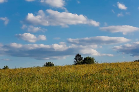 Lime kiln near the fog cave, clouds, sky, expanse, meadow, bushes, hills, landscape, Swabian Jura,