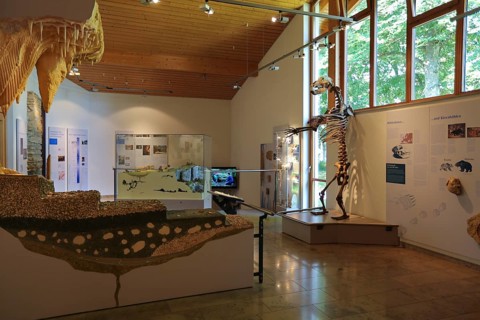Tiefenhöhle Bear Skeleton Museum, Laichingen, Swabian Jura, Baden-Württemberg, Germany