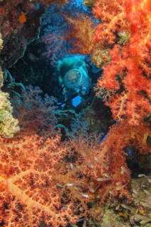 Underwater photo of diver looking through small opening into tropical living colourful coral reef