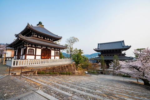 Nokotsudo and Sanmon Gate in the evening light with blooming cherry trees, Buddhist temple,