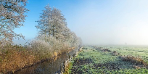View along a ditch where trees and grasses grow on the shore and the morning dew is frozen, Winter,